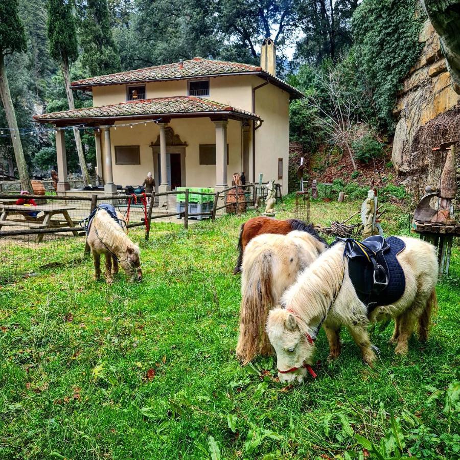 Agriturismo Fattoria Di Maiano Fiesole Exterior foto