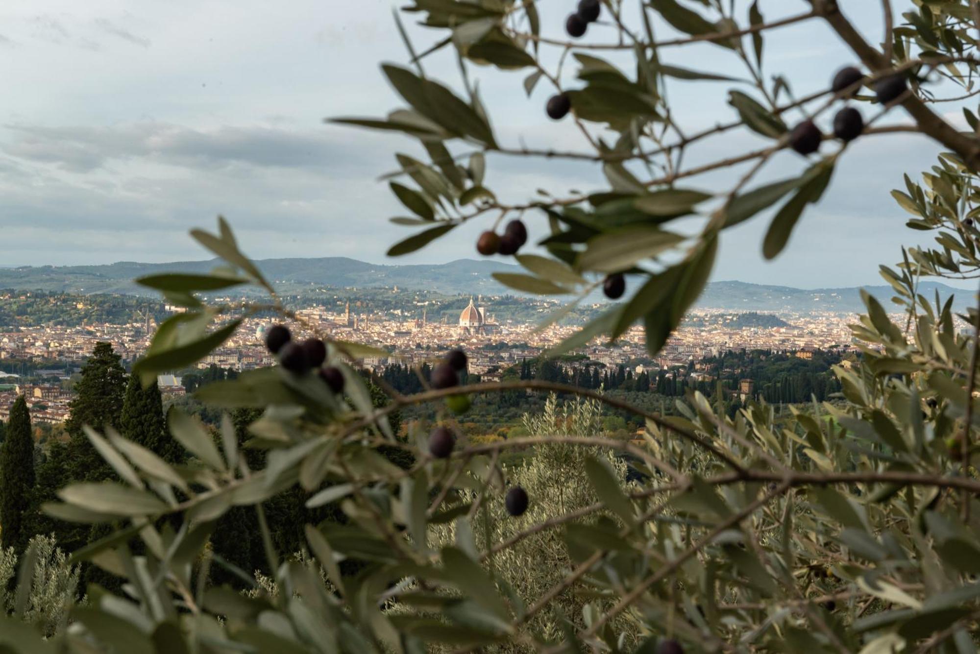 Agriturismo Fattoria Di Maiano Fiesole Exterior foto