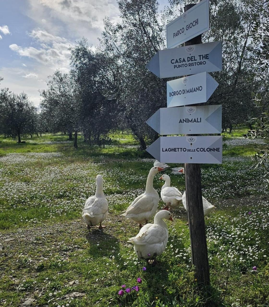 Agriturismo Fattoria Di Maiano Fiesole Exterior foto